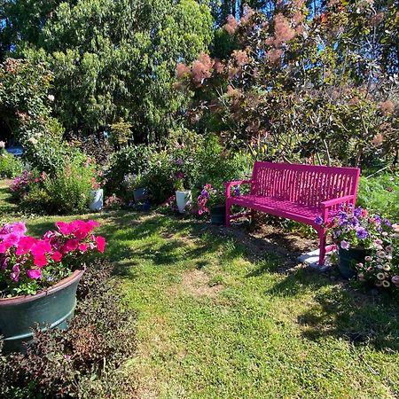 Korimako'S Nest Garden Studio Carterton المظهر الخارجي الصورة